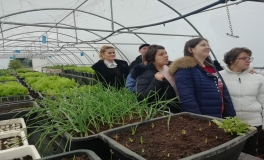 79481957_439678926971152_4796350490960986112_n